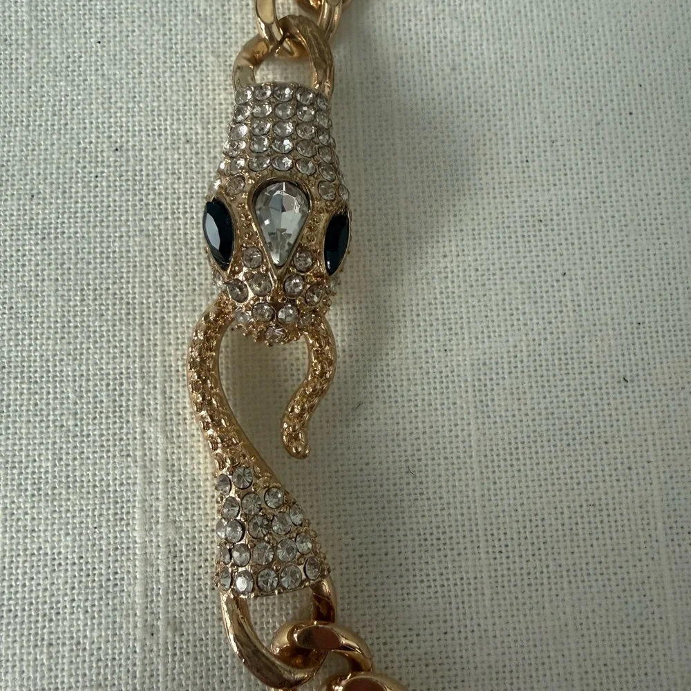 Gold Chain Choker Necklace with Snake Clasp